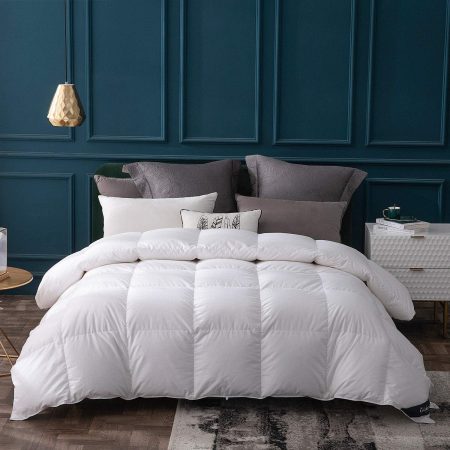 Goose Down Comforter Queen Size All Season Down Duvet Insert,400 Thread Count Ultra Soft Noiseless Shell,800 Fill Power with Corner Tabs,White